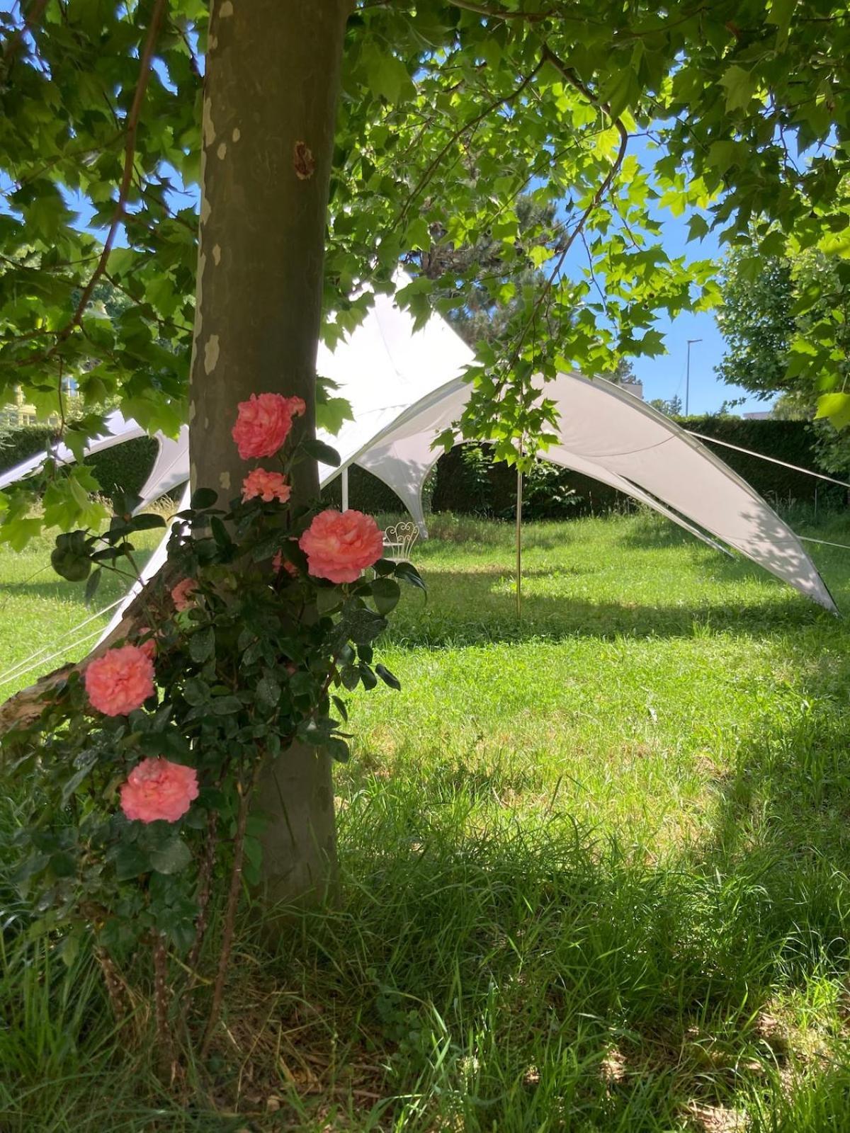 La Garconniere Villa Colombier  Eksteriør billede